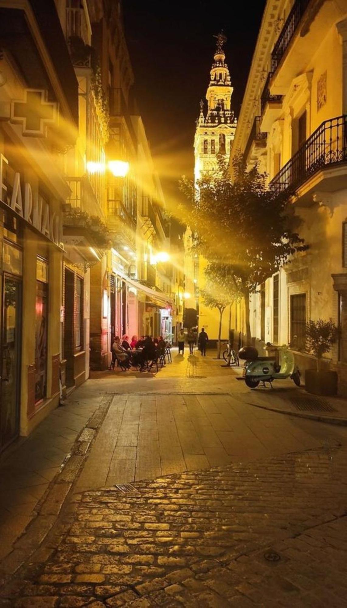 ¡En Frente De La Giralda-Catedral! Daire Sevilla Dış mekan fotoğraf